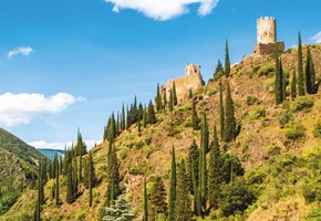 Carcassonne & the Canal du Midi